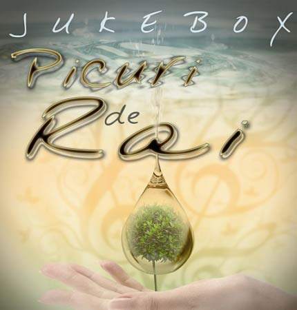 Picuri De Rai single trupa jukebox alex vasilache piesa romantic melodie album jukebox music production